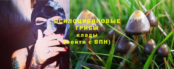 бошки Струнино
