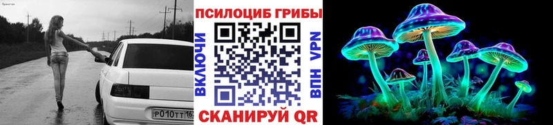 наркота  Петровск-Забайкальский  Псилоцибиновые грибы Psilocybine cubensis 